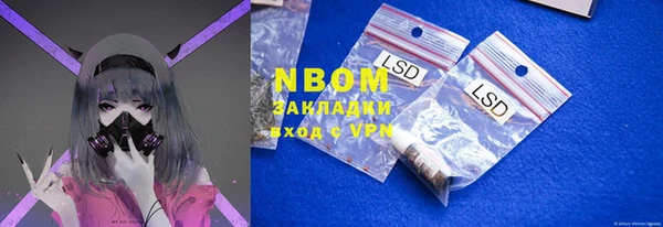 прущие грибы Абдулино