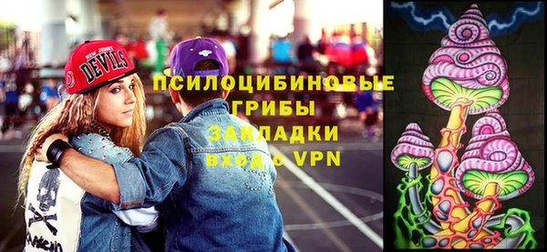 прущие грибы Абдулино