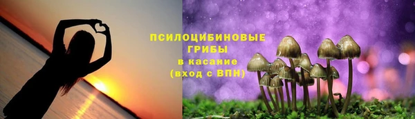 марки lsd Абаза