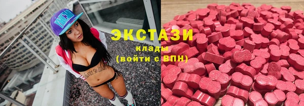 ECSTASY Алзамай