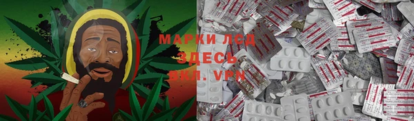 ECSTASY Алзамай