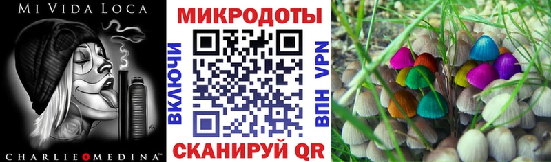 купить  сайты  Черногорск  Галлюциногенные грибы мухоморы 