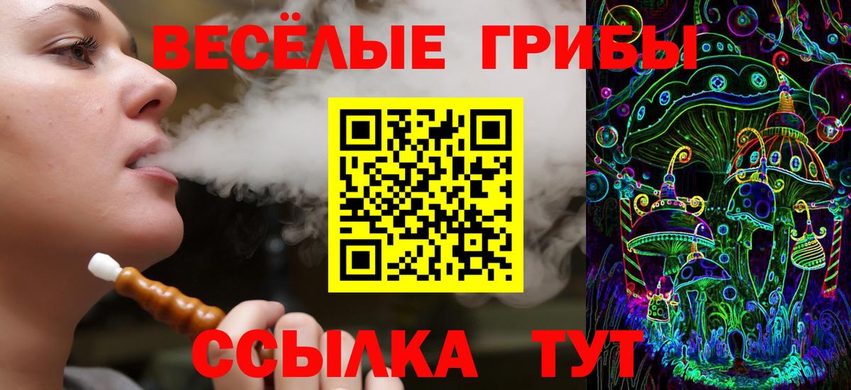 Галлюциногенные грибы Psilocybine cubensis Черногорск