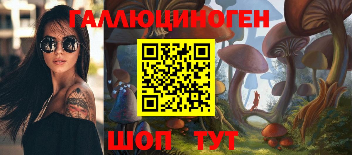хочу   Вход с VPN  Черногорск  Галлюциногенные грибы GOLDEN TEACHER 
